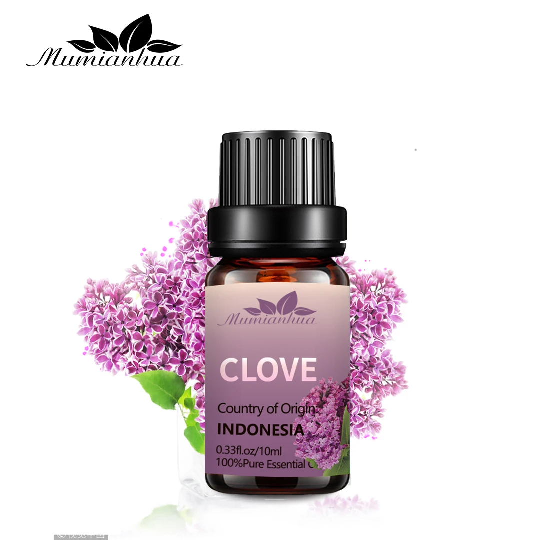 

Organic MSDS 100% Nature Clove seed Essential Oil new price of cloves indonesia stem cengkeh clovema dagascar black garlic buy