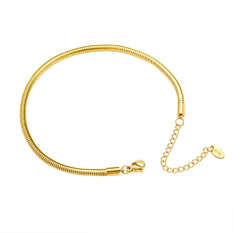

Women's 18k Gold Plated Stainless Steel Snake Chain Anklets