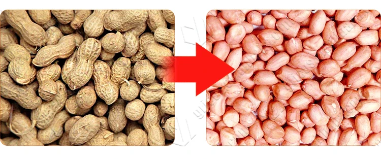 Ground Nut Shelling Machine