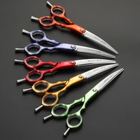 

Fenice 60MDW VG10 Rainbow Titanium Shears Pet Grooming Scissors for Animals