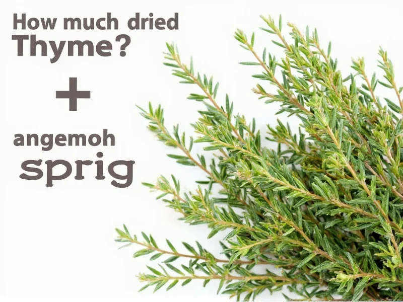 How Much Dried Thyme Equals 1 Sprig? Quick Conversion Guide