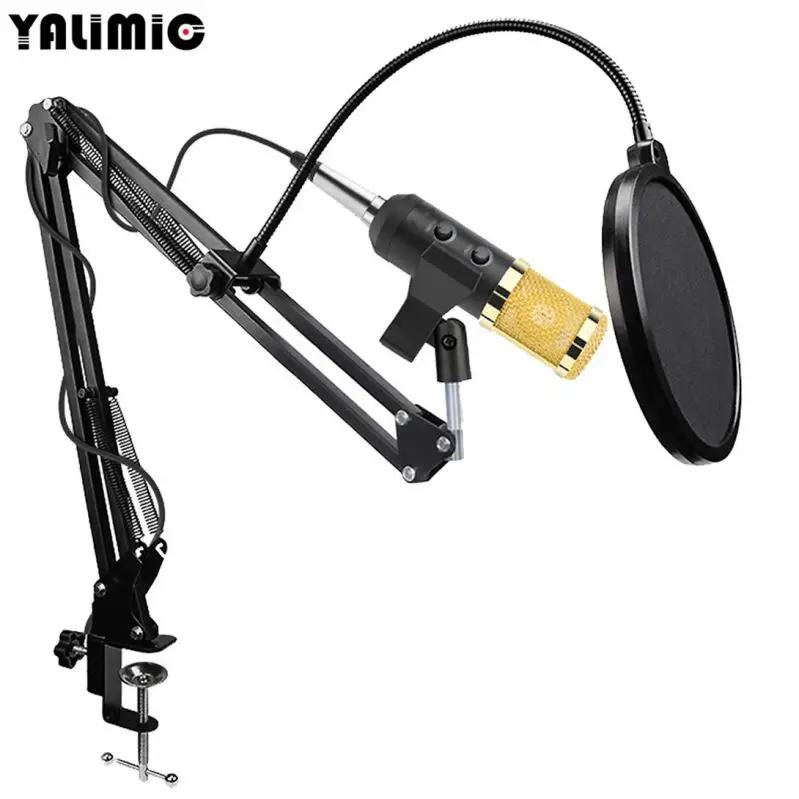 

Brand New Singing Recording Kit KTV Karaoke Mic With High Quality