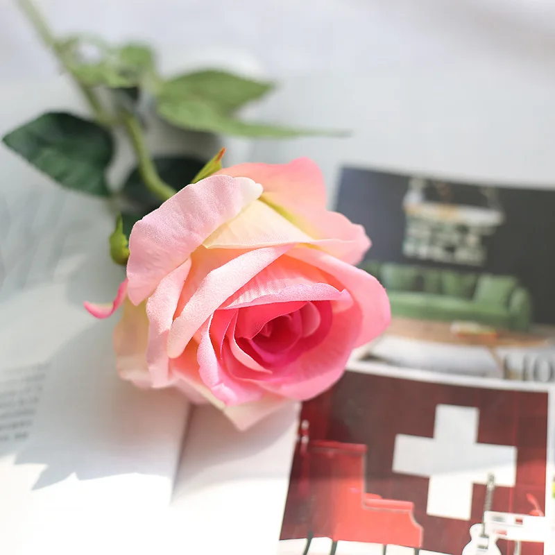 Sắc hồng tươi tắn của 6 bông hoa hồng trong hình ảnh sẽ khiến bạn cảm thấy như được nhắc nhở về tình yêu và hy vọng. Chúng có thể giúp bạn xua tan đi những suy tư và lo lắng trong cuộc sống.