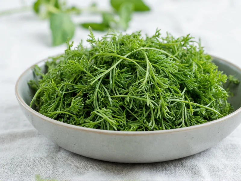 Freeze Dry Dill: Complete Preservation Guide for Herbs