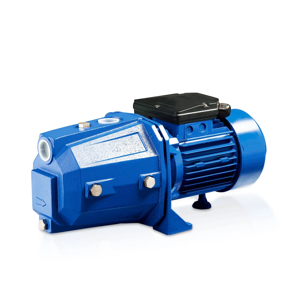 induction motor pump