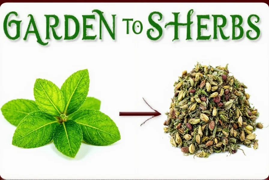 from garden to spice rack the ultimate fresh to dried herbs conversion hack guide
