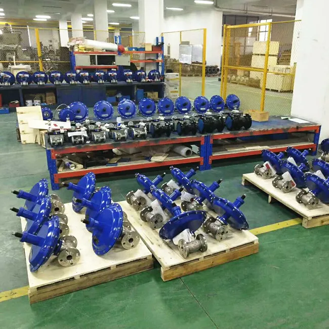 

Check Valves Rubber Pressure Reducing Control Valves Pressure Regulators Diaphram Valve