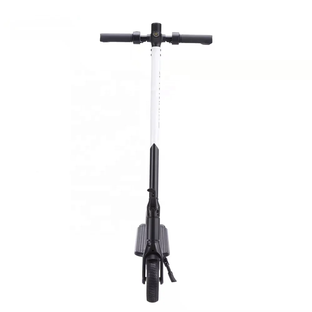 

2021driect shipping New design 6.5 inch vacuum tire removable battery electric scooter 250W from EU USA warehouse