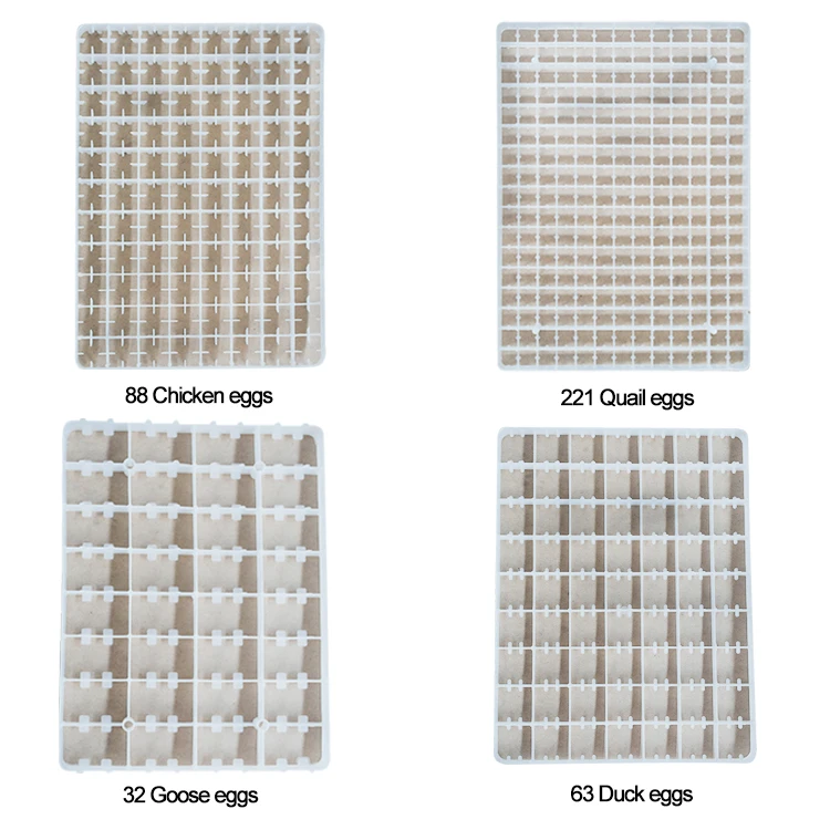 1056 egg  incubator-30.jpg