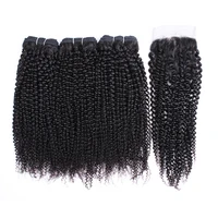 

Free Sample Natural Weave Human Hair Bundles Kinky Curly Raw Virgin Cuticle Aligned Hair Vendor Raw Cambodian Hair
