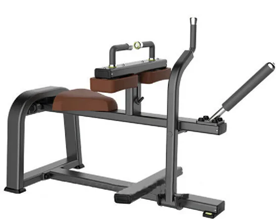 Seated Calf ASJ-S843 ASJ Fitness Equipment commercial grade gym equipment, Optional