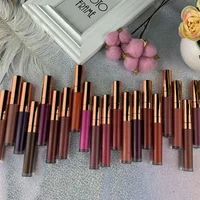 

Wholesale custom no logo clear matte lip gloss longlasting waterproof liquid lipstick matte