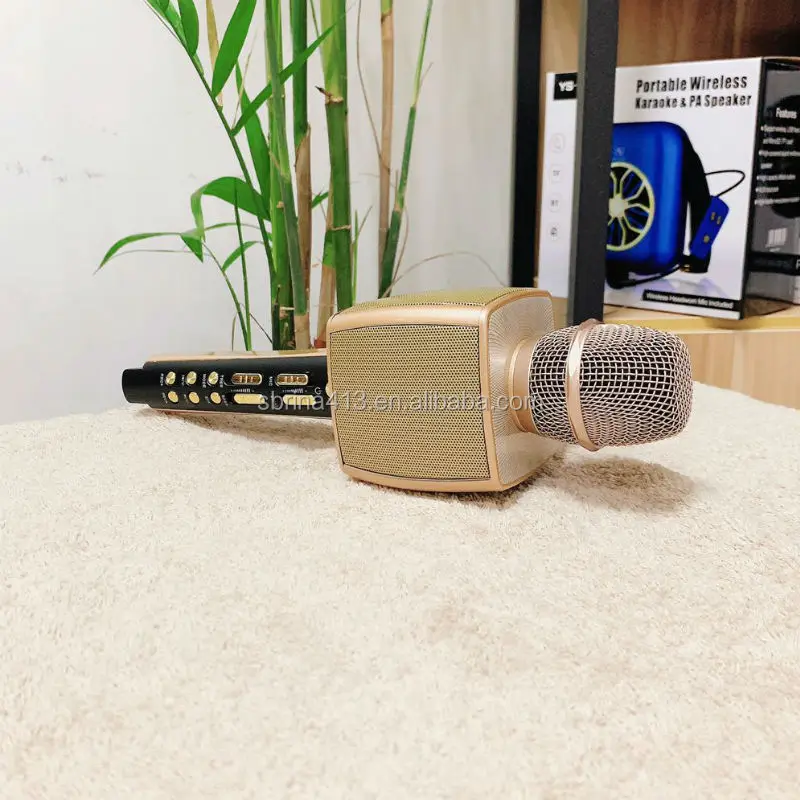 fm Karaoke Wireless Microphone 