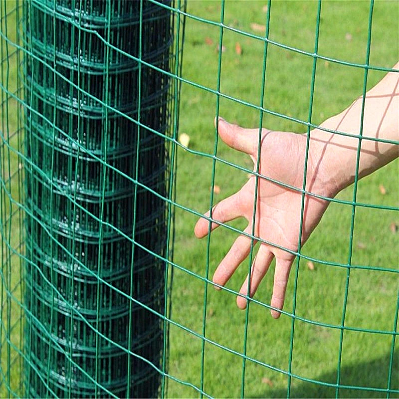 Galvanized Hot Dipped Bird Cage Welded Wire Mesh Panel Pvc Coated