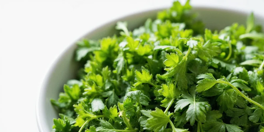 Fresh vs. Dry Cilantro Side-by-Side