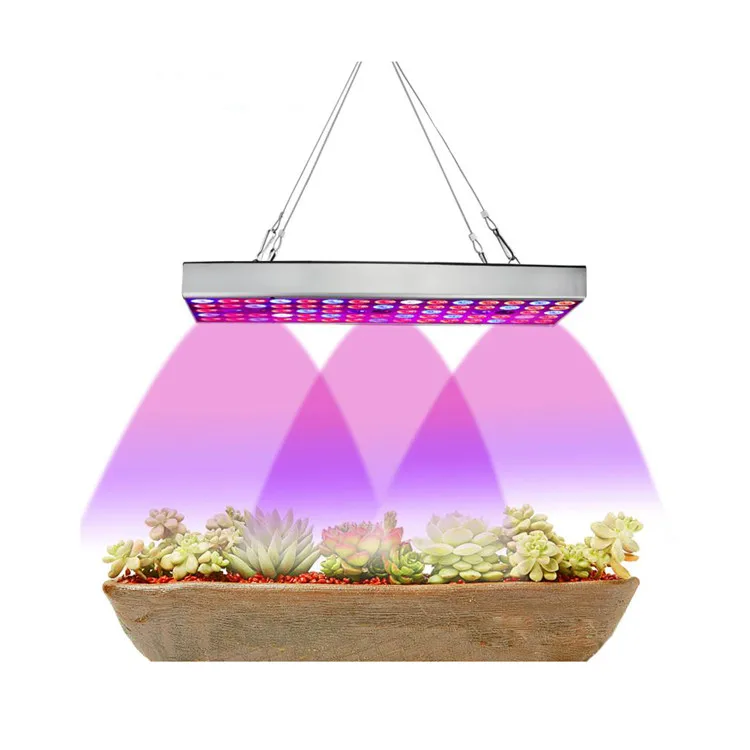 led grow light hydroponic