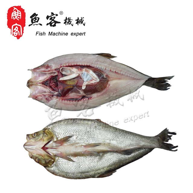 5 fish killing machine.jpg