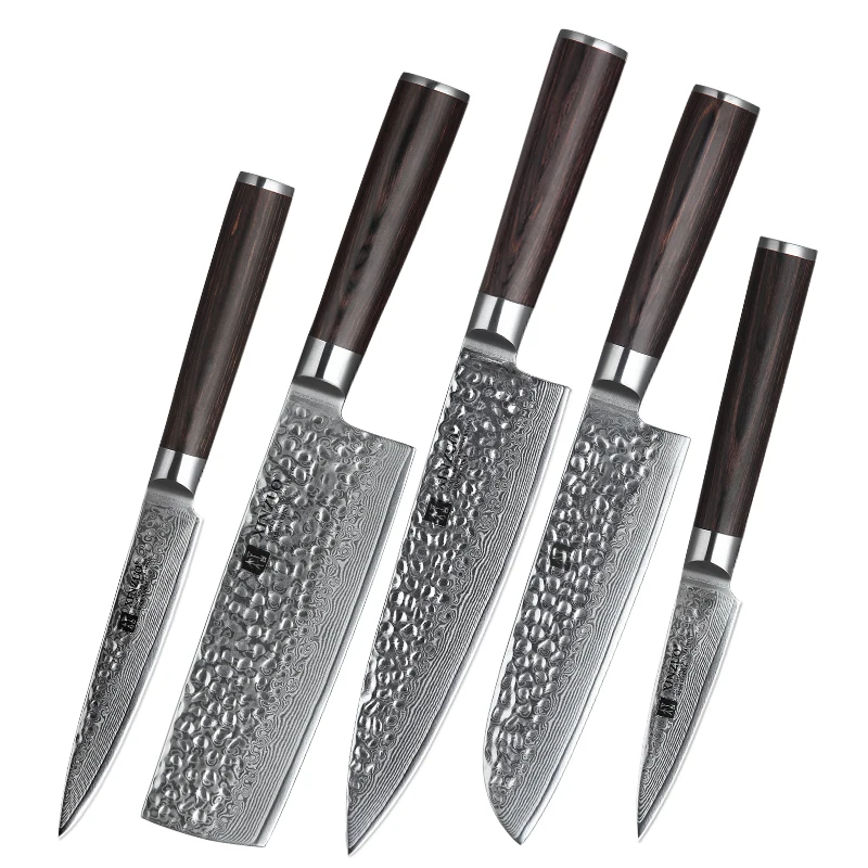 

5 pcs professional 67 layers damascus kitchen knife set with pakka wood handle