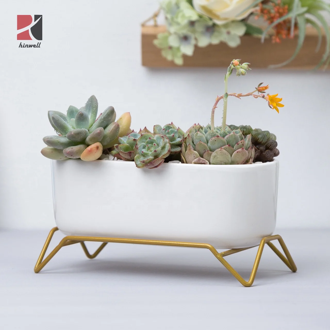 

2020 6.7 inch Nordic Indoor Decorative Oval White Ceramic Planter Bulk Ceramic Flower Pot For Succulent plant, Gold/black holder;white pot
