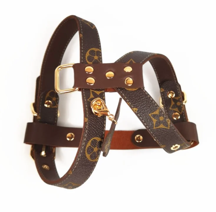

Luxury Brand Design Leather Pet Leash Dog Chest Back Pet Leash Harness Set