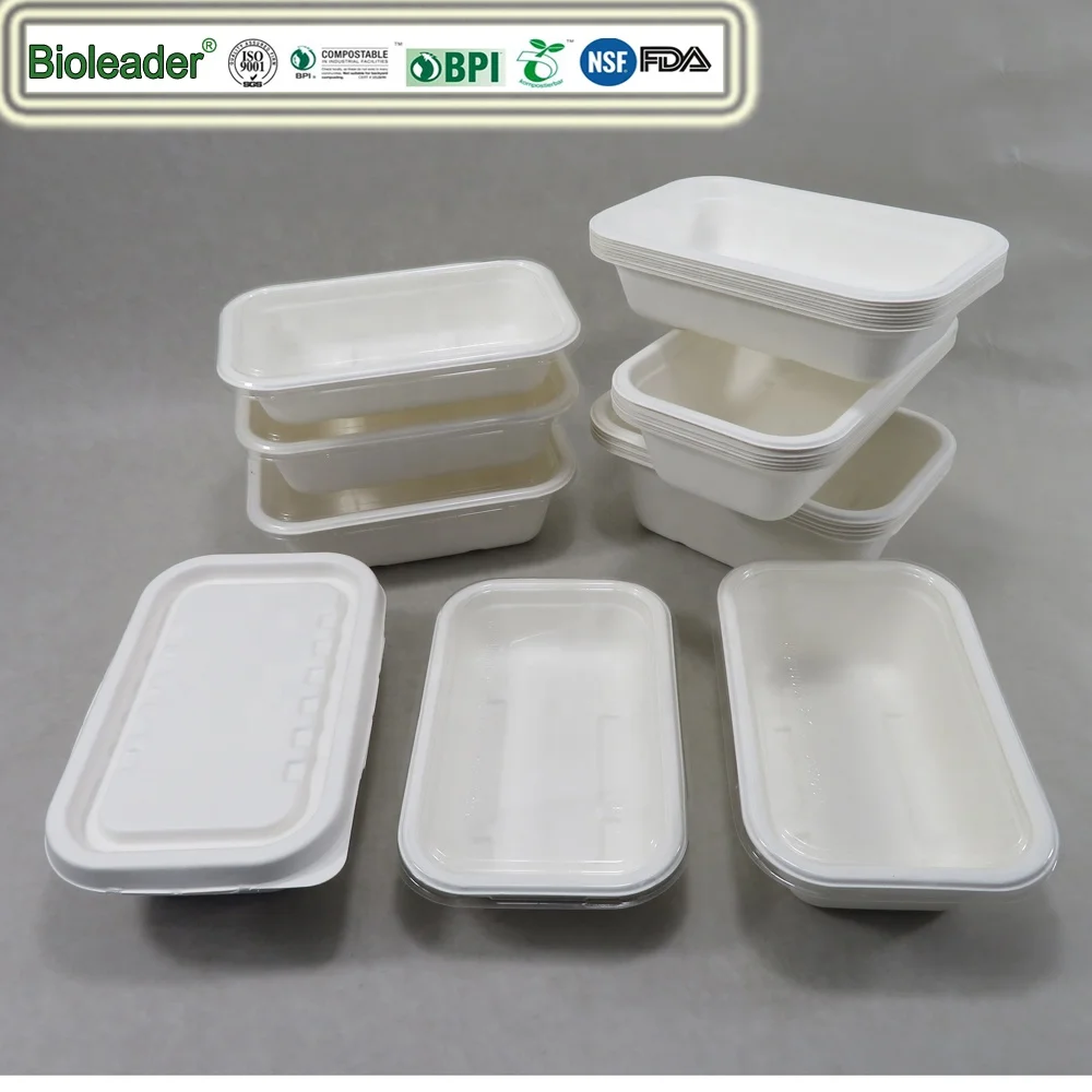 Biodegradable Sugarcane Bagasse School Lunch Tray 5 Compartments Tray