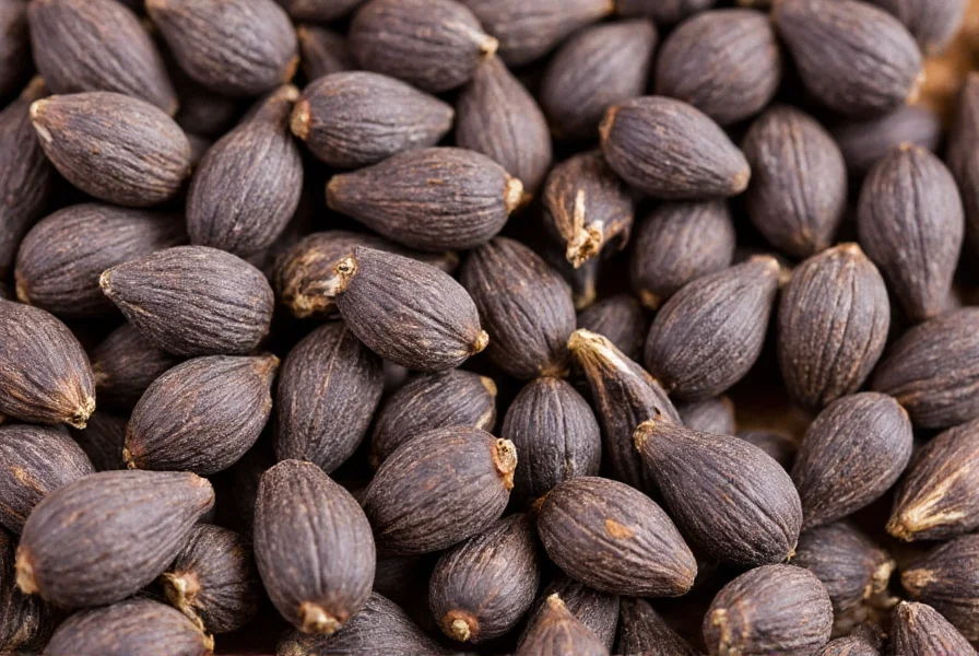 Close-up photograph of anise seeds showing their characteristic grayish-brown color and curved shape with fine ridges