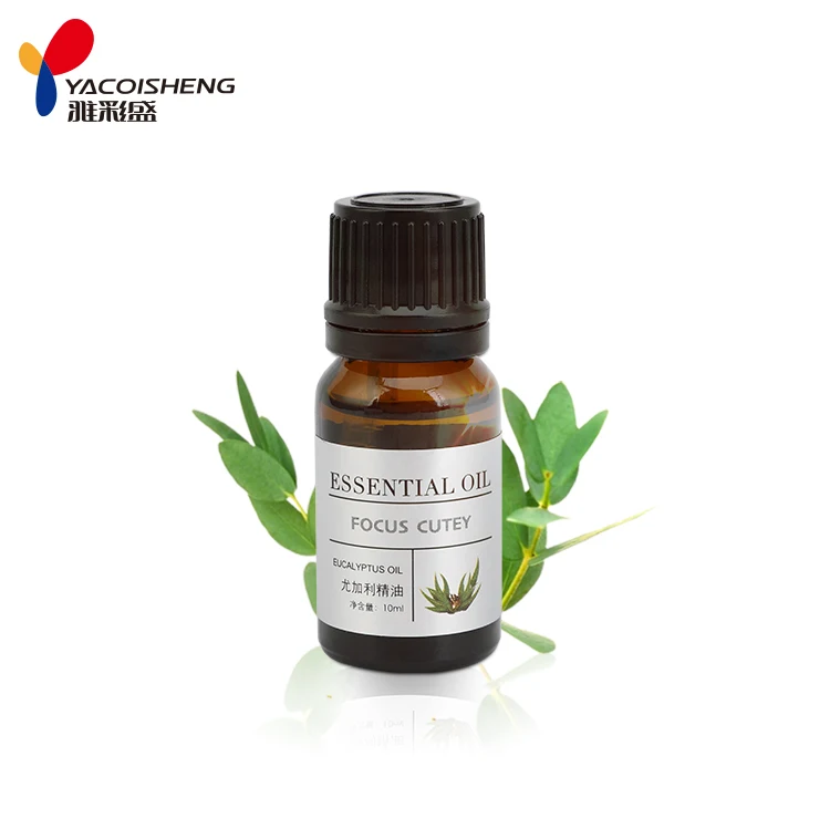 

Top Grade Pure and Natural Eucalyptus Essential Oil for Anti-inflammatory