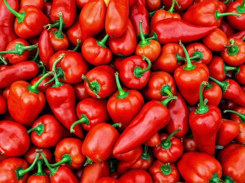 6 Essential Types of Paprika Explained for Cooks
