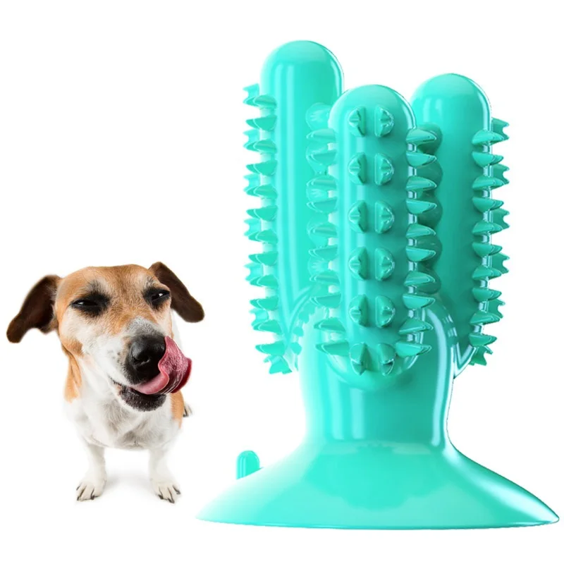 

Pet Supplies Amazon Hot Cactus tape Stick Leaking Ball Molar rubber Toy Dog Toothbrush chew toy