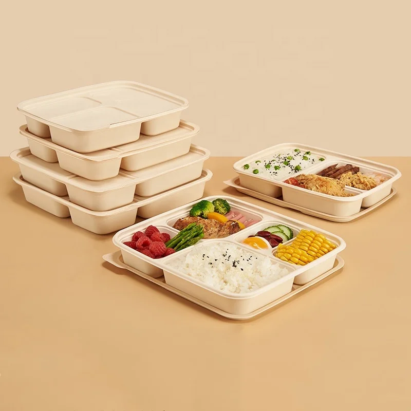 

3 5 Compartments Fast Disposable Take Out Lunch box Biodegradable Takeaway Food Containers