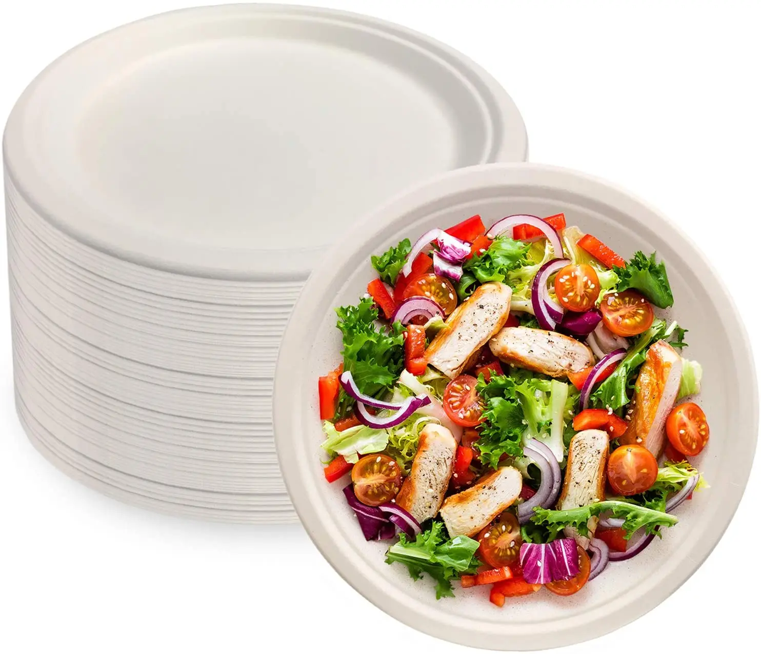 

Renewable Manufacturers Paper Plate 9 Inch Round White Biodegradable Plates Sugarcane Bagass Plate Dishes For Take Away