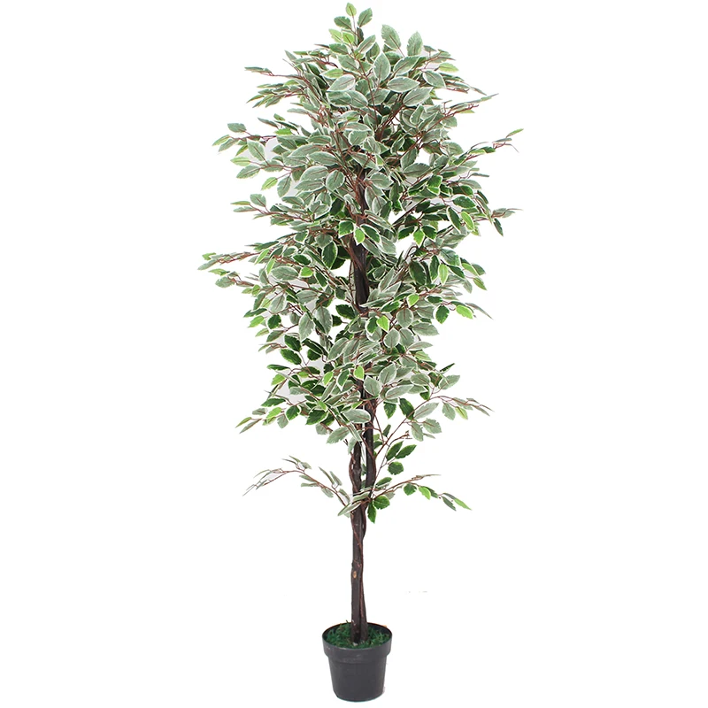 Decorative Cheap Artificial Ficus/benjamin Tree Buy Artificial