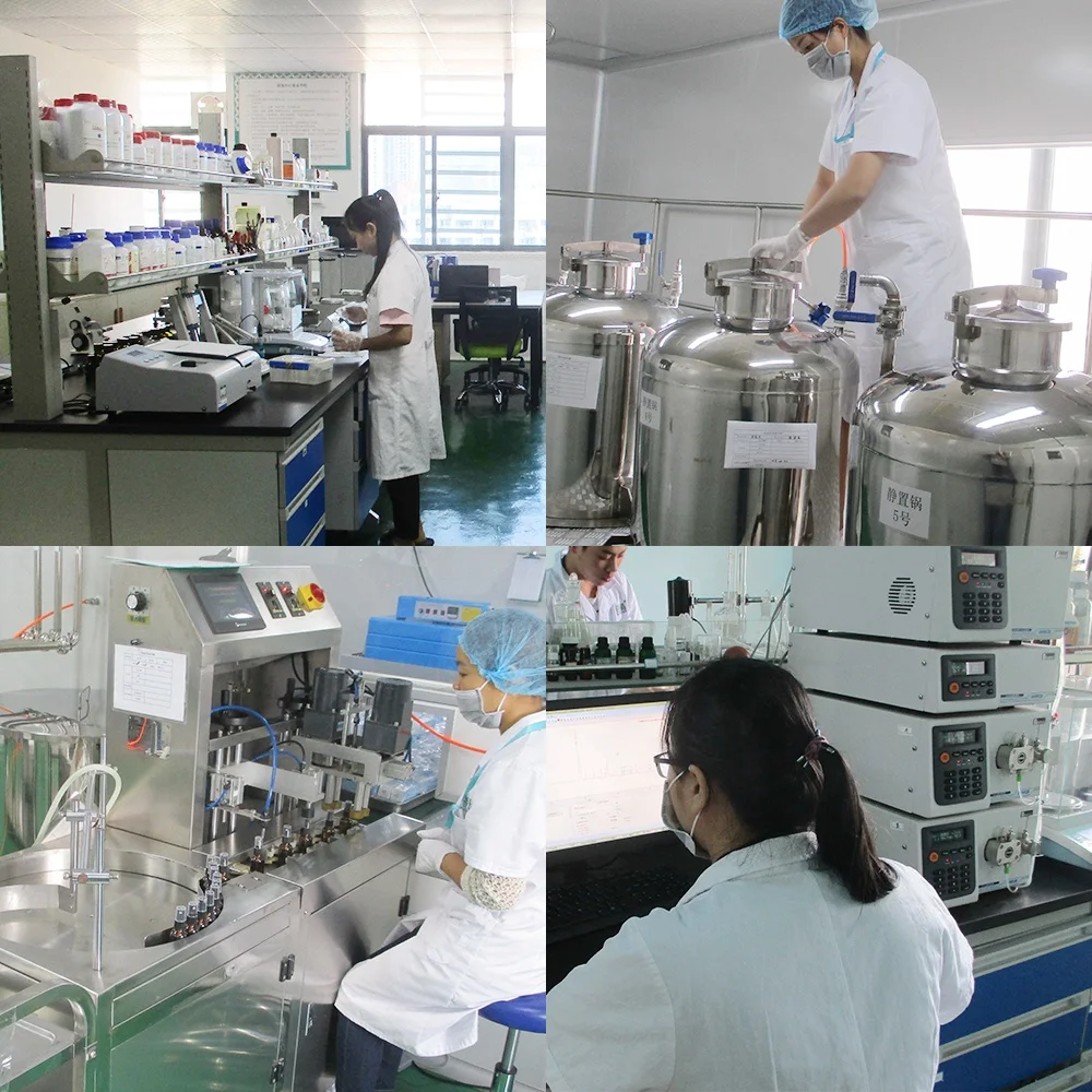 
Wholesale high quality pure natural cold pressed camellia seed carrier oil 