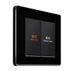 Smart Wi-Fi light switch 16A in-wall smart switch 2gang black titanium network light switch