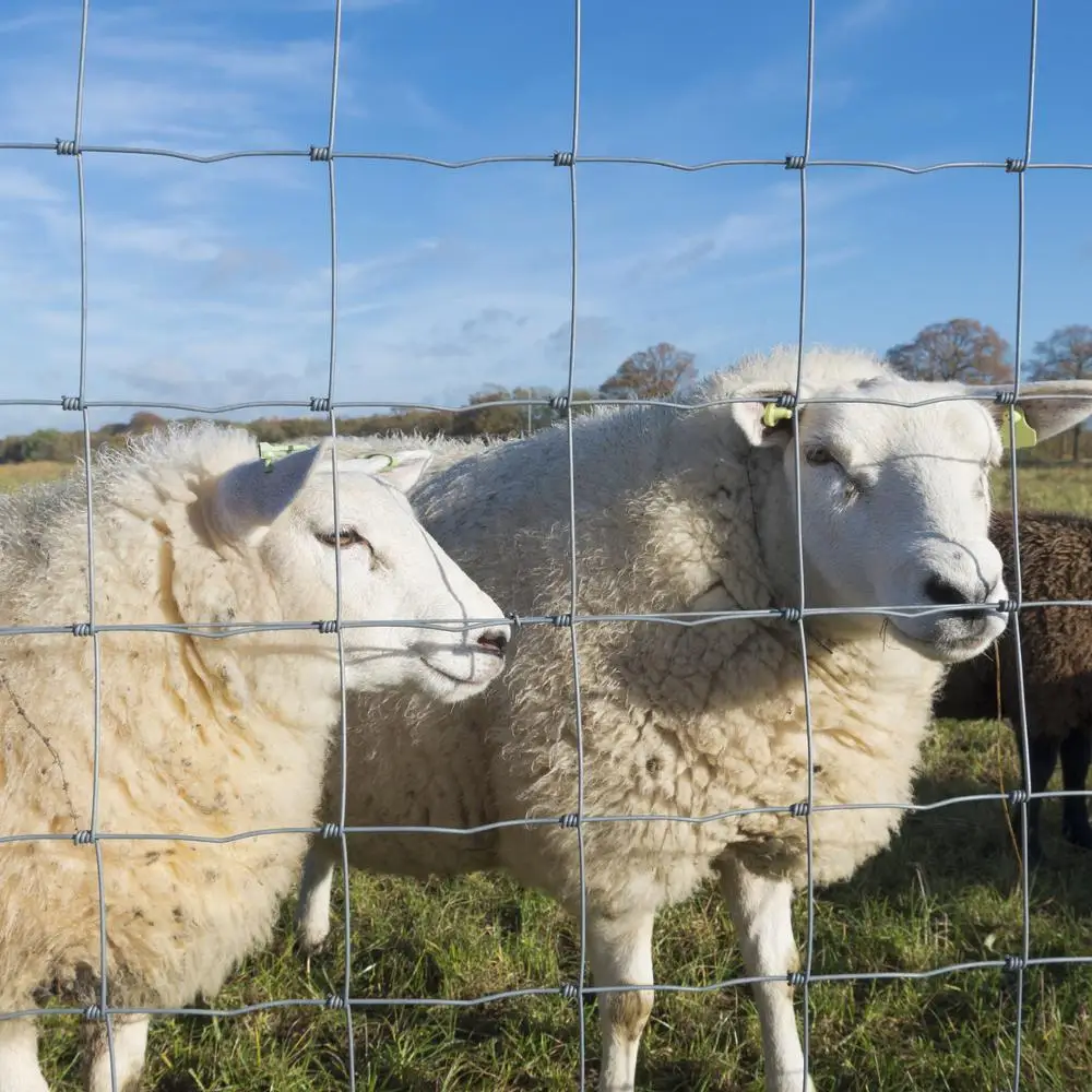 

SHEEP GOAT CATTLE RURAL FARM GALVANISED HINGE JOINT WIRE MESH FENCING