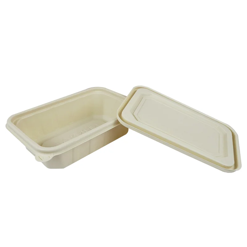 

Eco-friendly Disposable dinnerware set for custom design hot food meal box