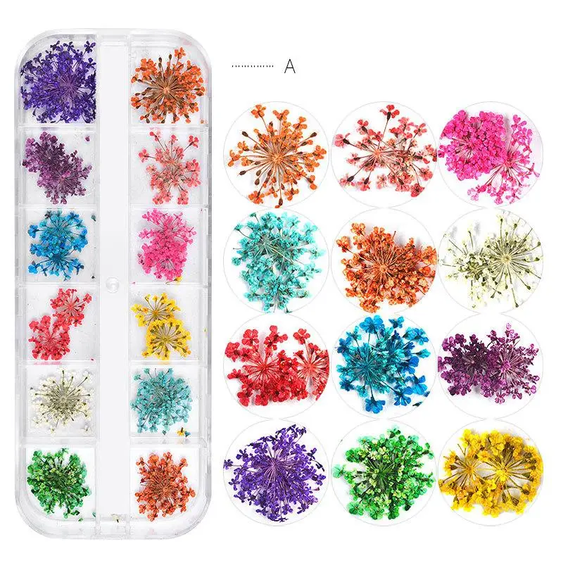 

12 Style Dried Flowers Nail Decorations Natural Floral Sunflower Daisy Stickers 3D Nail Art Designs Polish Manicure Accessories