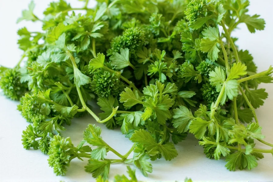 Assorted dried parsley spice jars