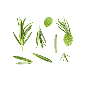 Spices & Herbs Products - Category Image