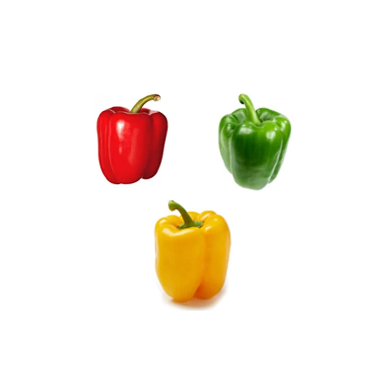 
Custom Simulation PU Foam Stress Reliever Toys Red Pepper Chilli Capsicum Squeeze Ball For Promotion 