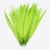 Wholesale!10-15 inches / 25-36cm pheasant feather,Natural Pheasant Tail In Hefei