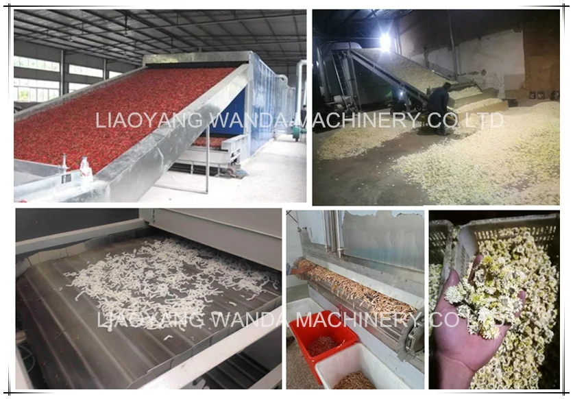 food belt dryer
