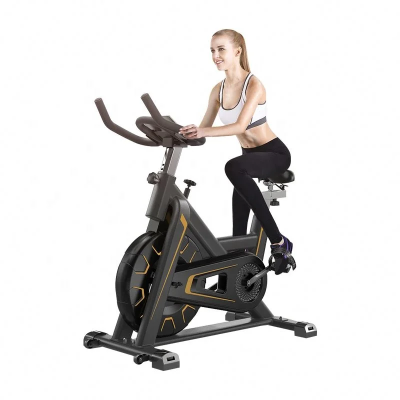 

Flywheel Silent Magnetic Control Body Building Spinning Bike Indoor, Black