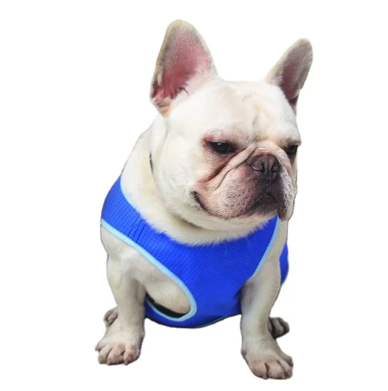 

Amazon Chaleco Summer Pet Cooling Vest Evaporation Dog Mesh Swim Coat Jacket Comfortable Breathable Dog Vests Clothes, Blue