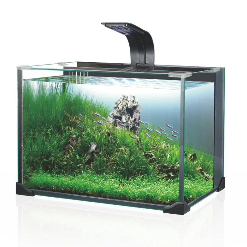 Fish Aquarium Tank,
