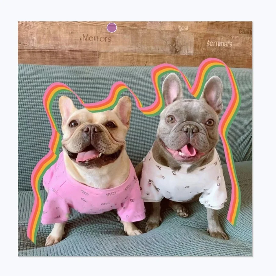 

Luxury Brand Logo Customized Correct Spelling C Design Printed Pet Dog Pullover