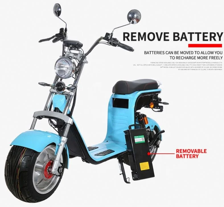 

2021 Fashion 2000W Electric Motorcycle Fully Electric