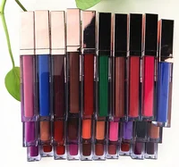 

Private Label Makeup Matte Liquid Lipstick 12 Colors OEM Custom Waterproof Cosmetic Lip Gloss for Girls and Women