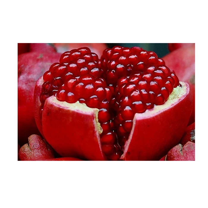 
POMEGRANATE KERNEL POMEGRANATE 