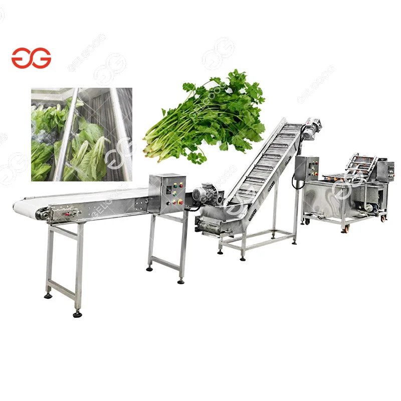 
Commercial Lemon Cabbage Washing Machine Ozone Fruit And Vegetable Washer 